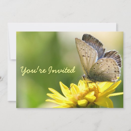バタフライオンイエローフラワーブライダルシャワー招待状 招待状 (正面)