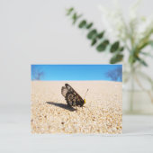 バタフライオンザビーチ葉書 ポストカード (スタンド正面)