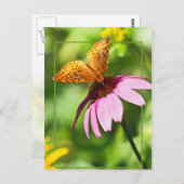 バタフライオンパープルコンフロアー ポストカード (正面/裏面)