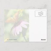 バタフライオンパープルコンフロアー ポストカード (裏面)