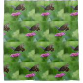 バタフライオンピンク《植物》百日草 シャワーカーテン (正面)