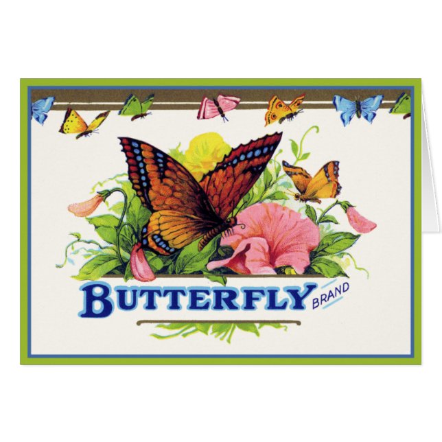 バタフライオンペチュニア (正面横)