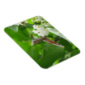 バタフライオン春薄紫磁石 マグネット (右側)