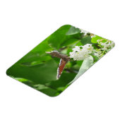 バタフライオン春薄紫磁石 マグネット (左側)