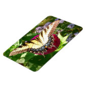 バタフライオン《植物》百日草写真 マグネット (左側)