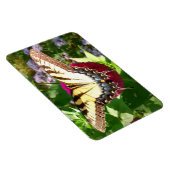 バタフライオン《植物》百日草写真 マグネット (右側)