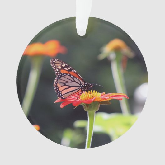 バタフライオーナメント オーナメント (正面)