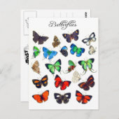 バタフライカラフルコレクション ポストカード (正面/裏面)