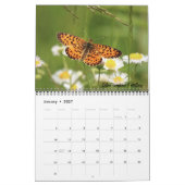 バタフライカレンダー2026 カレンダー (1月 2027)