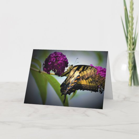 バタフライカード カード (正面)