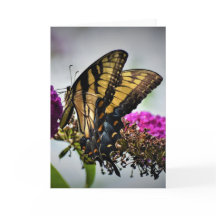 バタフライカード