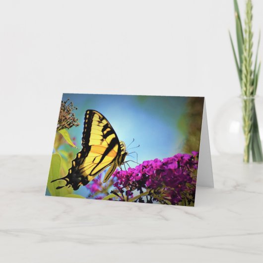 バタフライカード カード (正面)