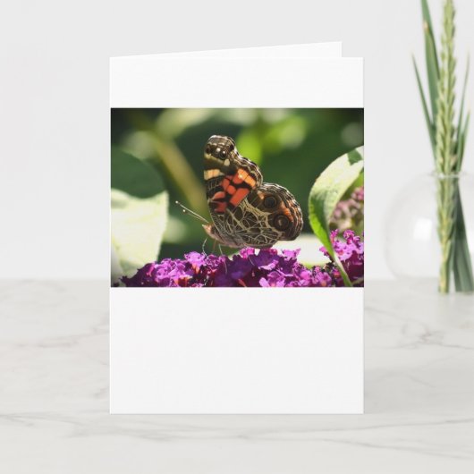 バタフライカード カード (正面)