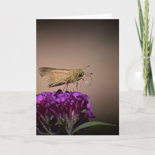 バタフライカード カード (正面)