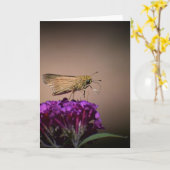 バタフライカード カード (黄色い花)