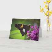 バタフライカード カード (黄色い花)