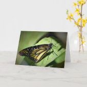 バタフライカード カード (黄色い花)