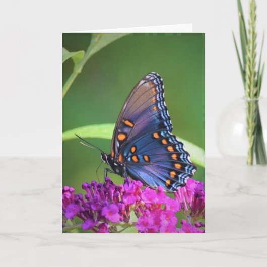 バタフライカード カード (正面)