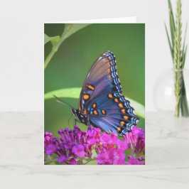 バタフライカード カード