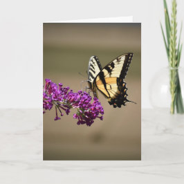 バタフライカード カード