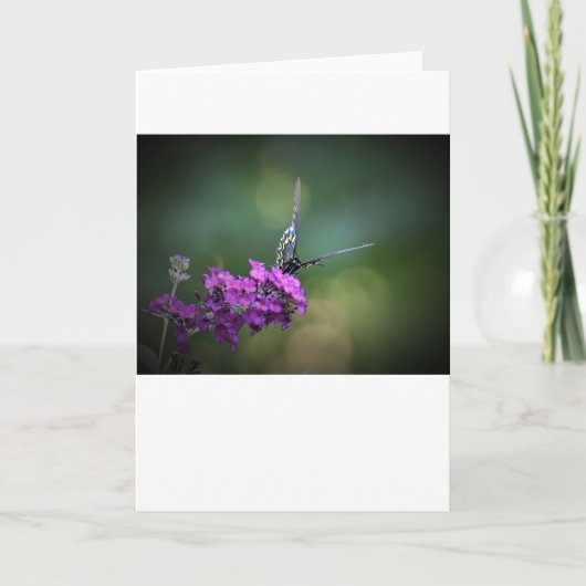 バタフライカード カード (正面)