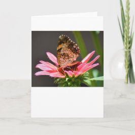 バタフライカード カード