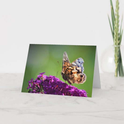 バタフライカード カード (正面)