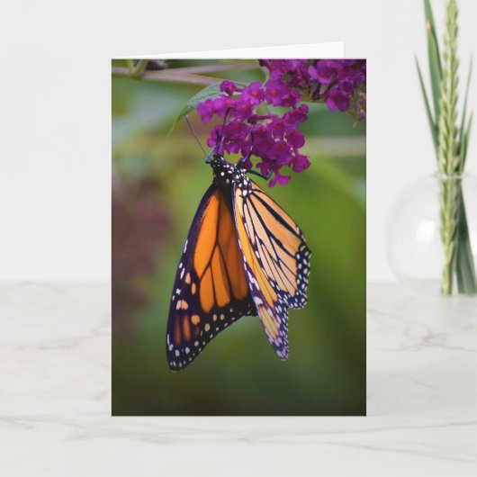 バタフライカード カード (正面)
