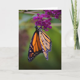 バタフライカード カード