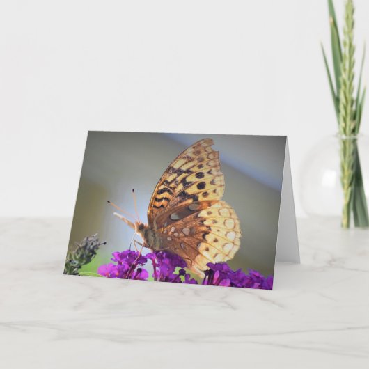バタフライカード カード (正面)