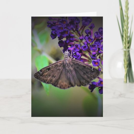 バタフライカード カード (正面)