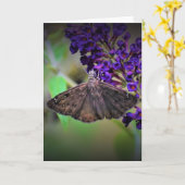 バタフライカード カード (黄色い花)