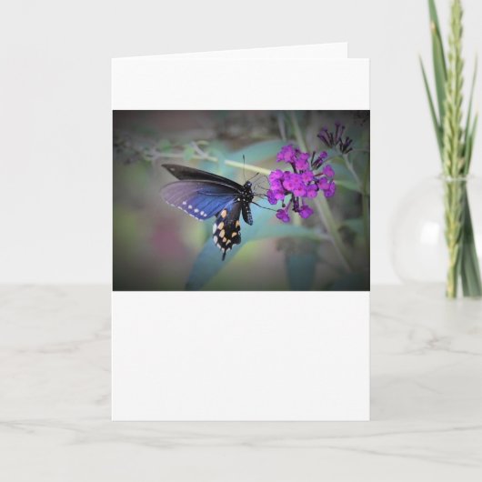 バタフライカード カード (正面)
