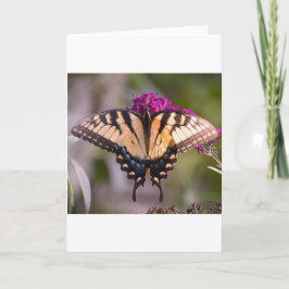 バタフライカード カード