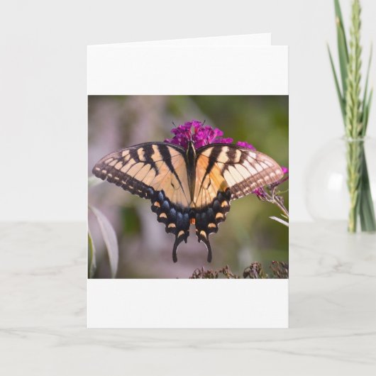 バタフライカード カード (正面)