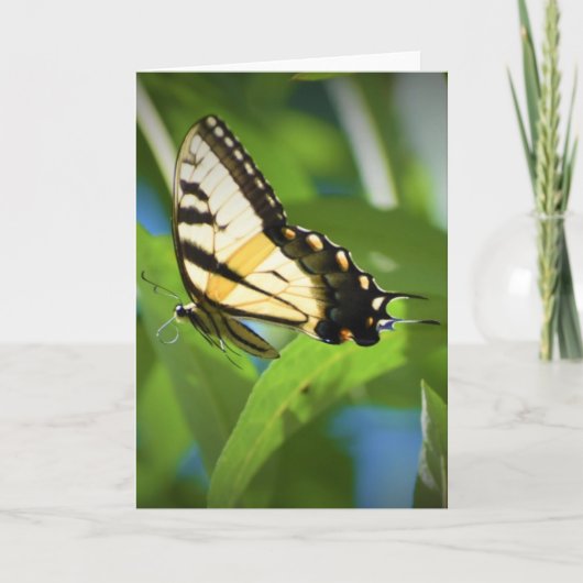 バタフライカード カード (正面)