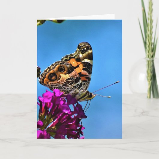 バタフライカード カード (正面)