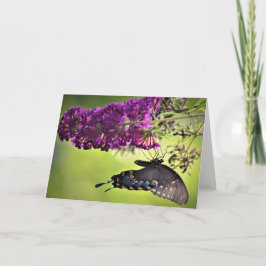 バタフライカード カード