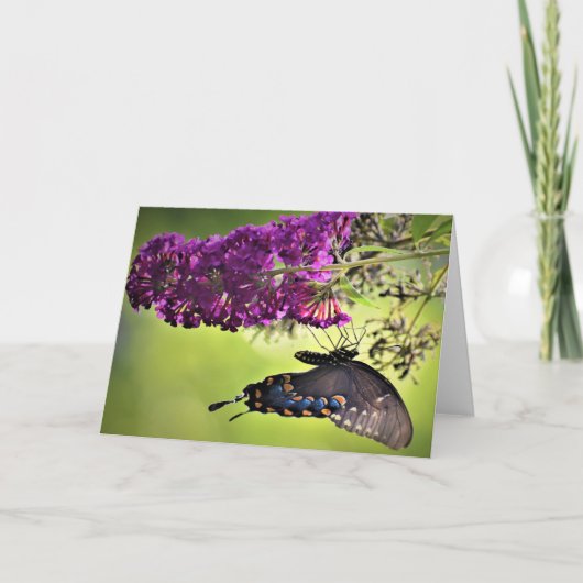 バタフライカード カード (正面)