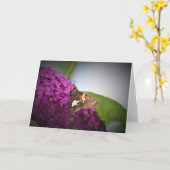 バタフライカード カード (黄色い花)