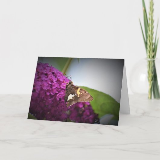 バタフライカード カード (正面)