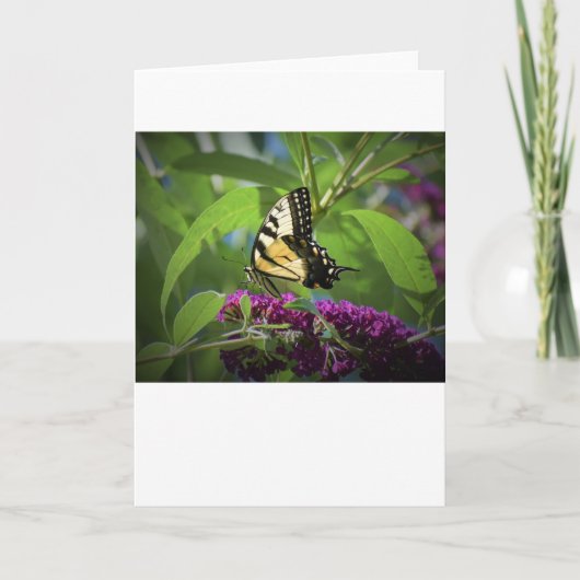 バタフライカード カード (正面)