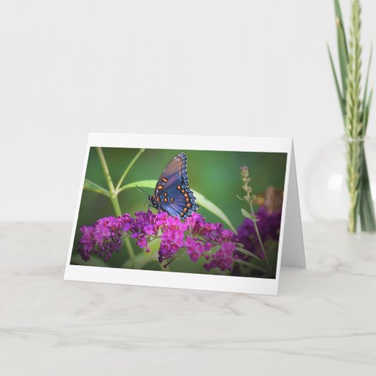 バタフライカード カード (正面)