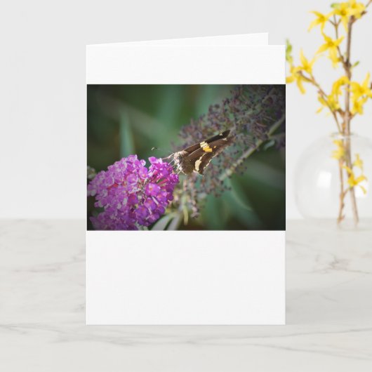 バタフライカード カード (黄色い花)