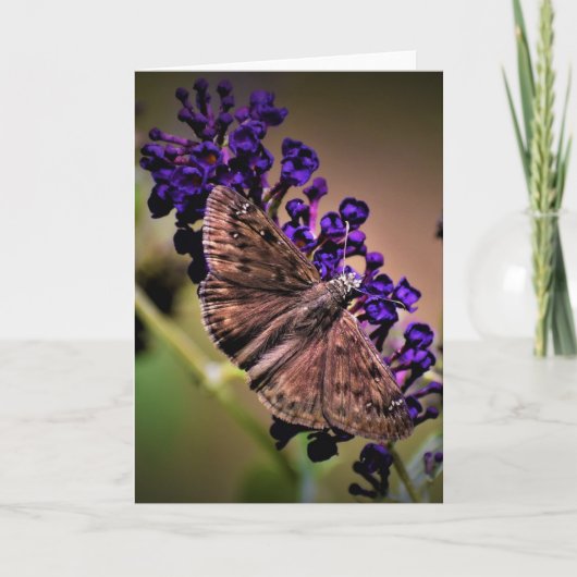 バタフライカード カード (正面)