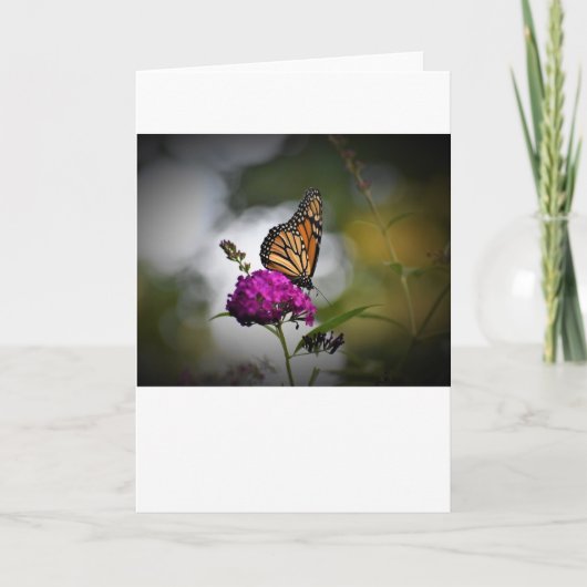 バタフライカード カード (正面)