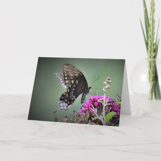 バタフライカード カード (正面)