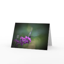 バタフライカード