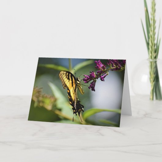 バタフライカード カード (正面)