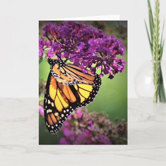 バタフライカード カード (正面)